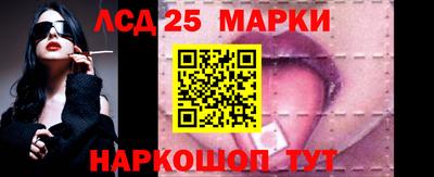 молекула духа Будённовск