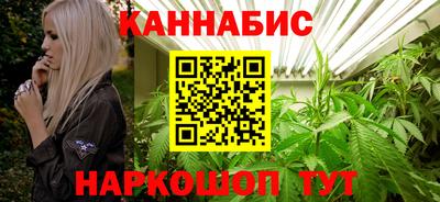 молекула духа Будённовск