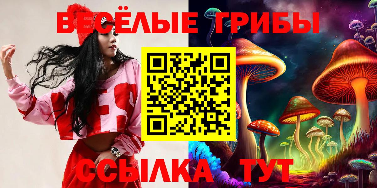 Псилоцибиновые грибы прущие грибы Всеволожск